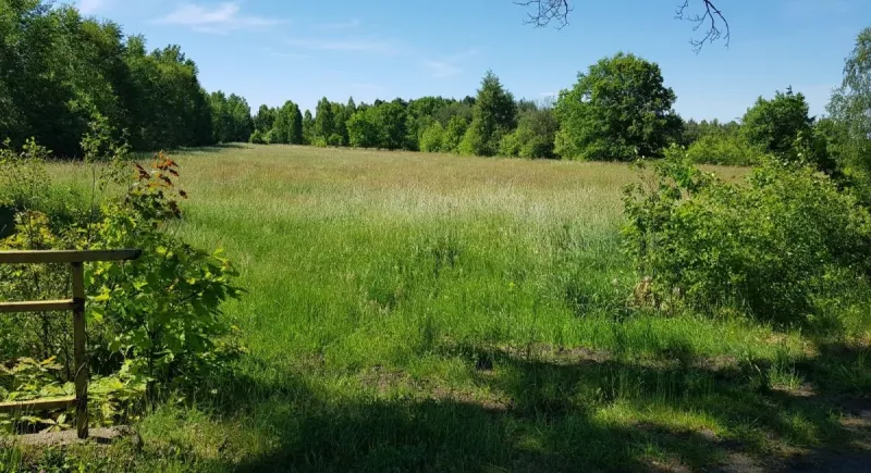 Działka na sprzedaż Lubiechów